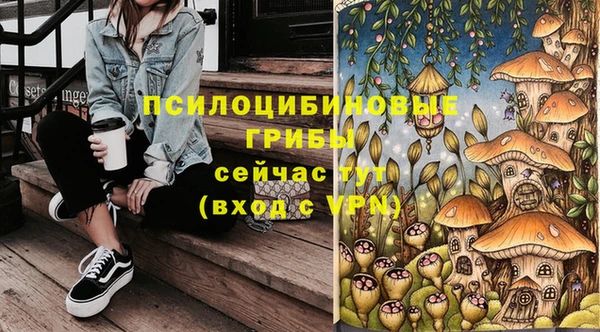 первитин Алексеевка