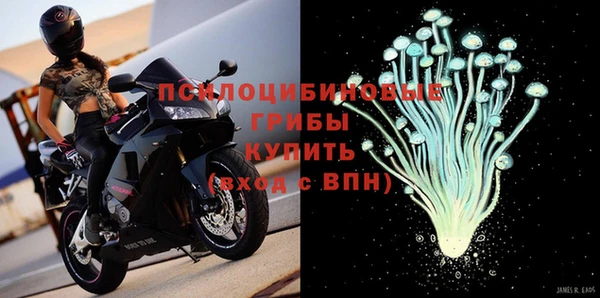 ешки Алзамай