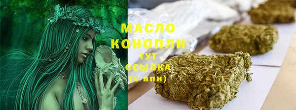 СК Алексин