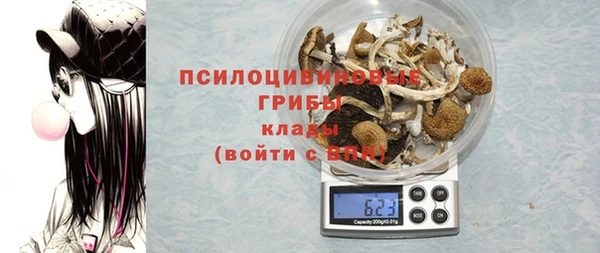 ешки Алзамай