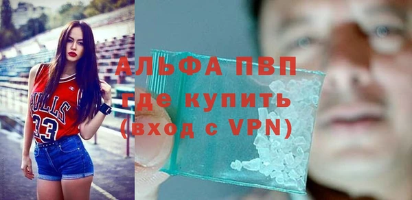 амф Россошь