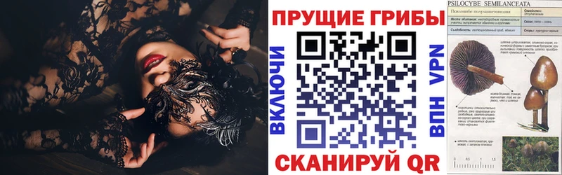 Псилоцибиновые грибы Psilocybine cubensis  Новомичуринск 